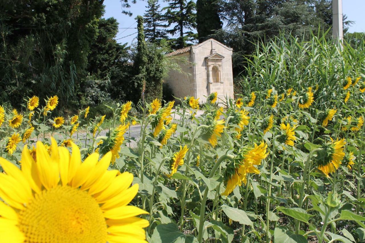 Mas De La Chapelle Sainte-Elisabeth Villa Tarascon Bagian luar foto
